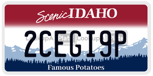 2CEGI9P  license plate in ID