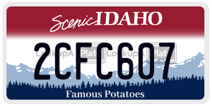 2CFC607  license plate in ID