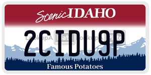 2CIDU9P  license plate in ID