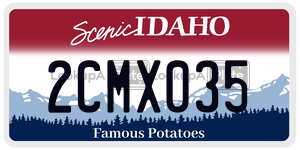2CMX035  license plate in ID