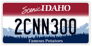 2CNN300  license plate in ID