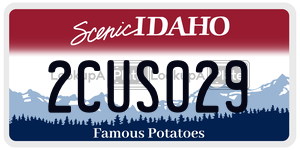 2CUS029  license plate in ID