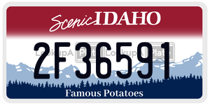 2F36591  license plate in ID