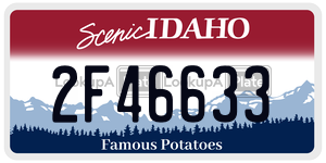 2F46633  license plate in ID