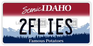 2FLIES  license plate in ID