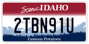 2TBN91U  license plate in ID