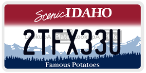 2TFX33U  license plate in ID