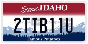 2TIB11U  license plate in ID