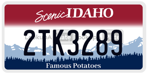 2TK3289  license plate in ID
