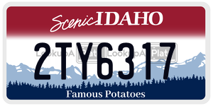 2TY6317  license plate in ID