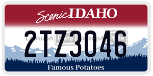2TZ3046  license plate in ID