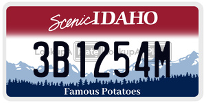 3B1254M  license plate in ID
