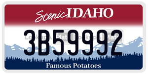 3B59992  license plate in ID