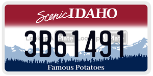 3B61491  license plate in ID
