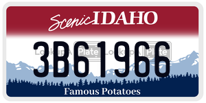 3B61966  license plate in ID