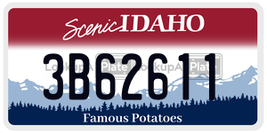 3B62611  license plate in ID
