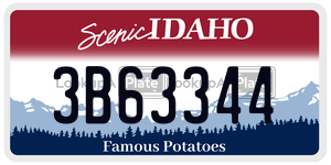 3B63344  license plate in ID