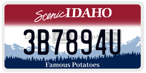 3B7894U  license plate in ID