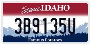 3B9135U  license plate in ID
