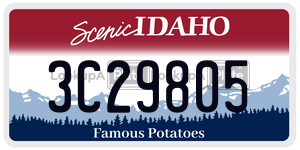 3C29805  license plate in ID