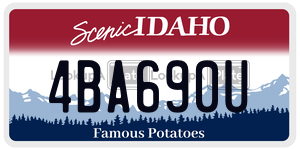 4BA690U  license plate in ID