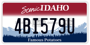 4BI579U  license plate in ID