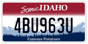 4BU963U  license plate in ID