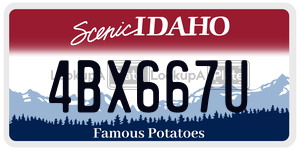4BX667U  license plate in ID