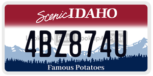 4BZ874U  license plate in ID