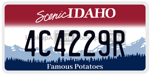 4C4229R  license plate in ID