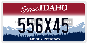 556X45  license plate in ID