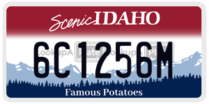6C1256M  license plate in ID