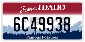 6C49938  license plate in ID