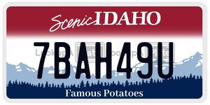 7BAH49U  license plate in ID