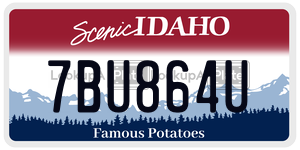 7BU864U  license plate in ID
