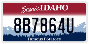 8B7864U  license plate in ID