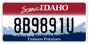 8B9891U  license plate in ID