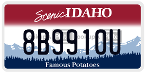 8B9910U  license plate in ID