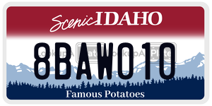 8BAW010  license plate in ID