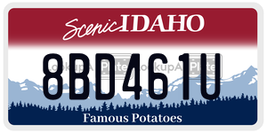 8BD461U  license plate in ID