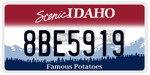 8BE5919 license plate in Idaho
