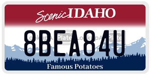 8BEA84U  license plate in ID