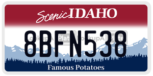 8BFN538  license plate in ID