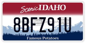 8BFZ91U  license plate in ID