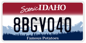 8BGV040  license plate in ID