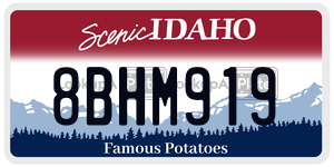8BHM919  license plate in ID