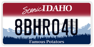 8BHR04U  license plate in ID