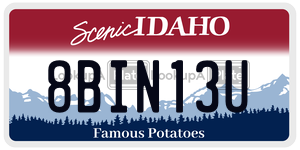 8BIN13U  license plate in ID