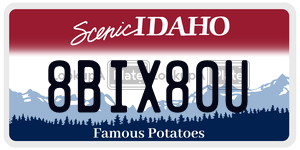 8BIX80U  license plate in ID