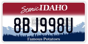 8BJ998U  license plate in ID